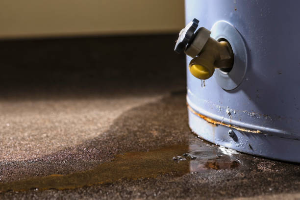 Best Residential water damage restoration  in Chicopee, MA