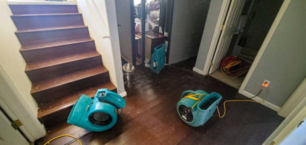 Best Commercial water damage restoration  in Chicopee, MA
