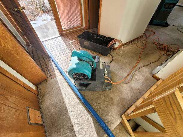  Chicopee, MA Water damage restoration Pros