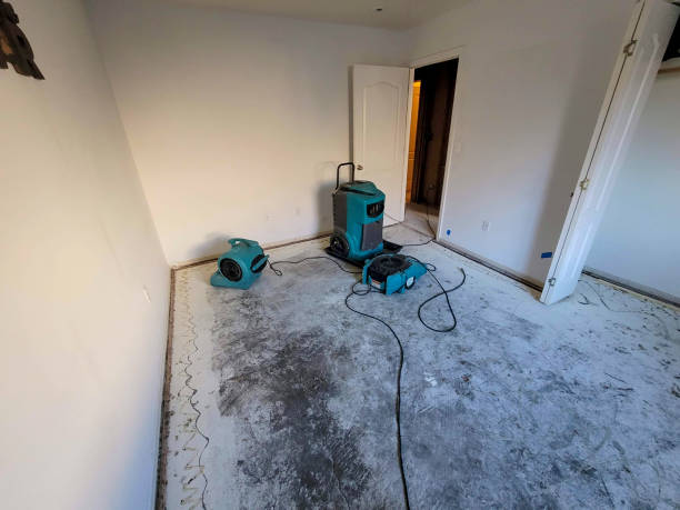 Best 24/7 water damage repair  in Chicopee, MA