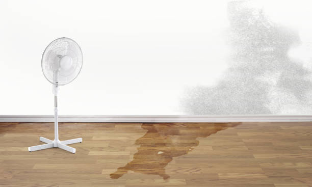 Best Emergency water damage restoration  in Chicopee, MA
