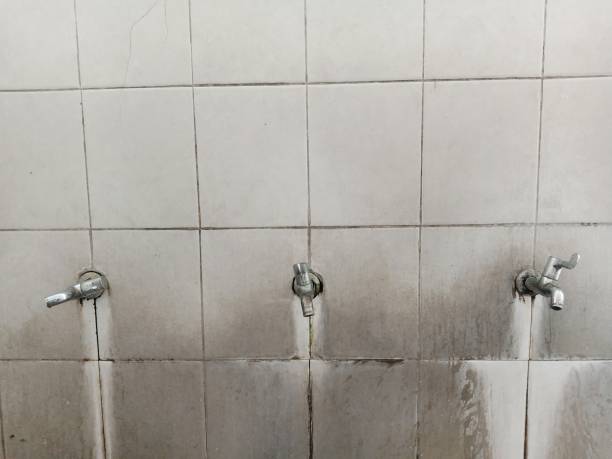 Best Fire Damage Restoration  in Chicopee, MA