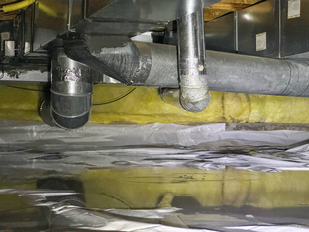 Best Flood damage cleanup  in Chicopee, MA